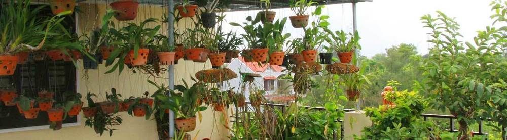 Leaf Homestay Hoi An Eksteriør billede