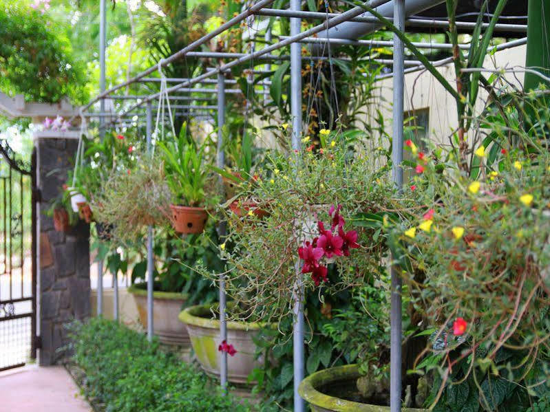 Leaf Homestay Hoi An Eksteriør billede