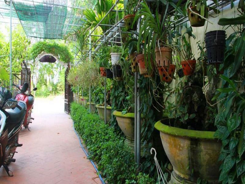 Leaf Homestay Hoi An Eksteriør billede